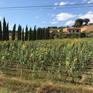 Meet your Posher, Evan